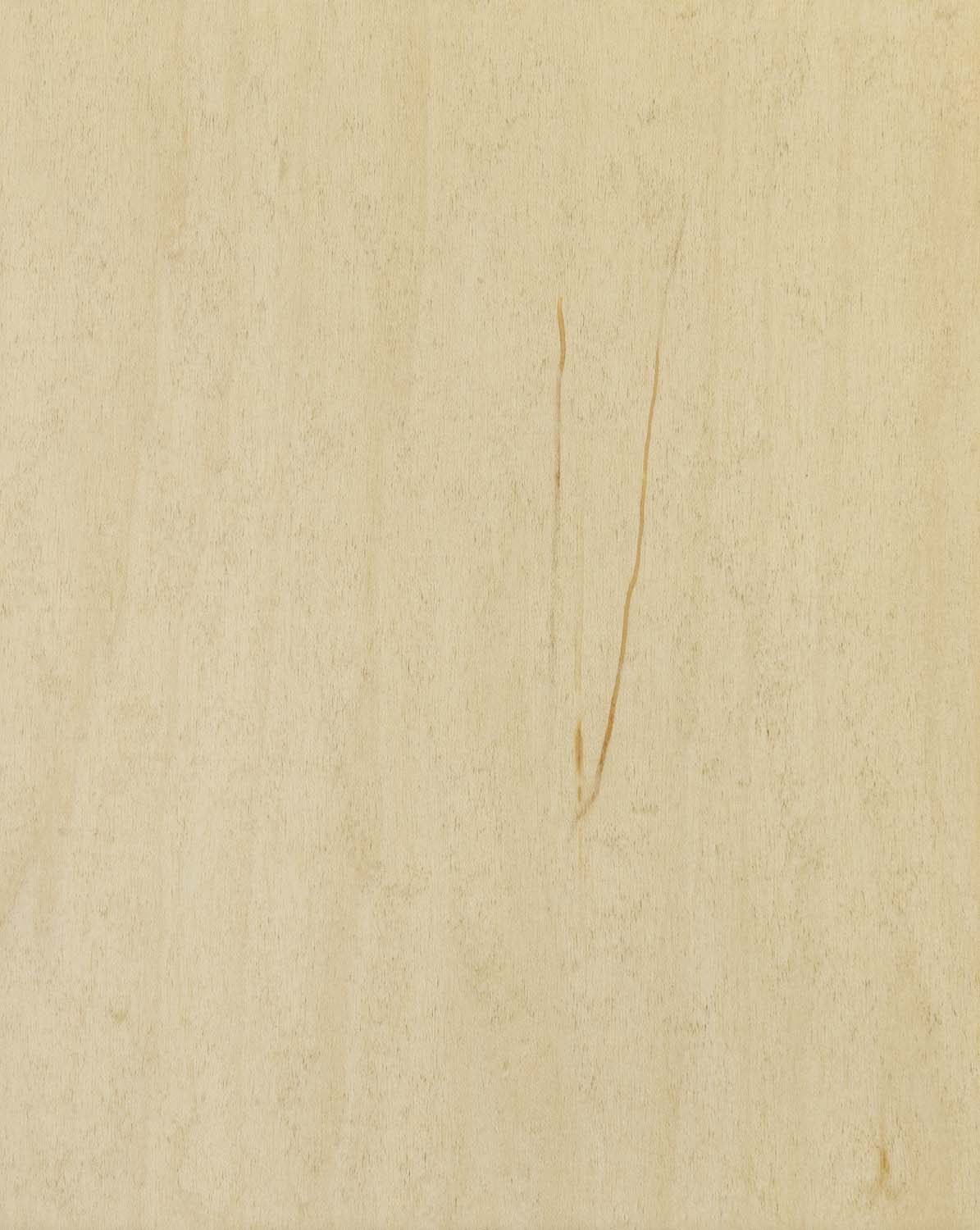 Barley Seed